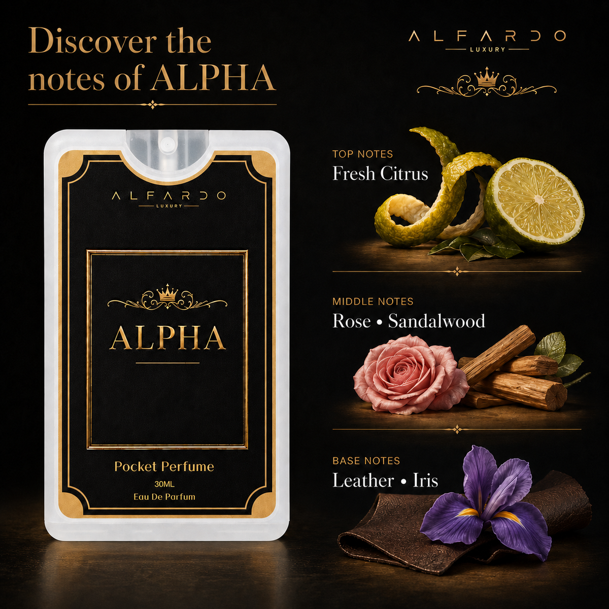 Alpha fragrance notes: top, heart and base