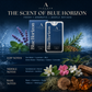 Blue Horizon fragrance notes: top, heart and base